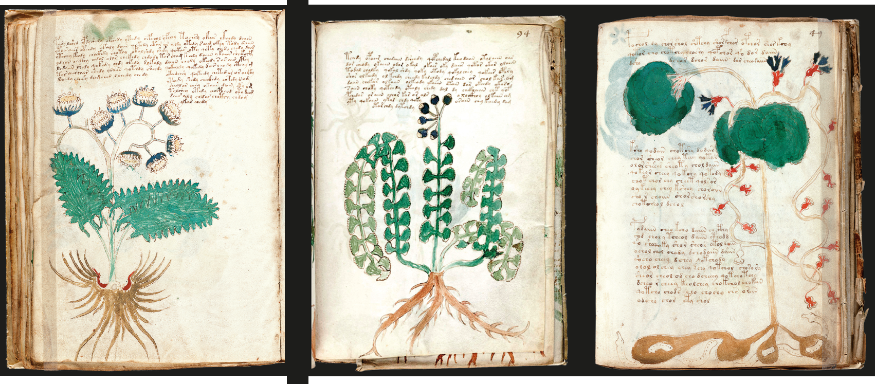 O códice Voynich, o manuscrito mais estranho do mundo