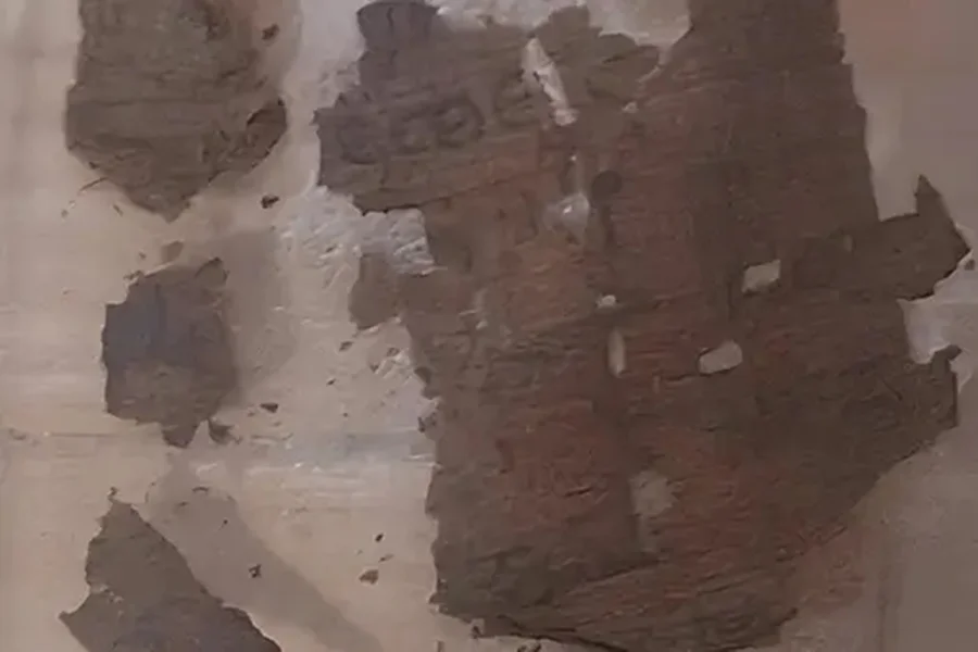 Imagem mostra o trecho da Ilíada encontrada na múmia - Metrópoles